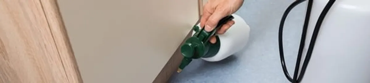 Bed bug exterminator treating baseboards and cracks with targeted spray in Syracuse, NY