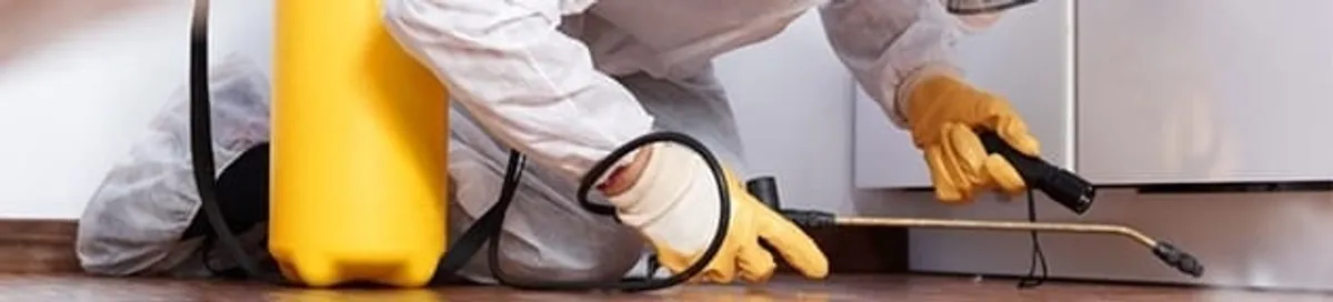 Roach exterminator treating cracks and crevices along kitchen baseboards in Syracuse, NY