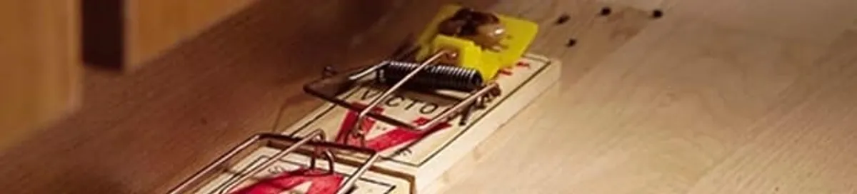 Rodent trap set indoors for rodent control and prevention in Syracuse, NY